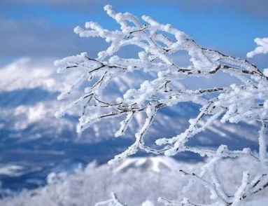 郑板桥有哪些咏雪诗？如何赏析？